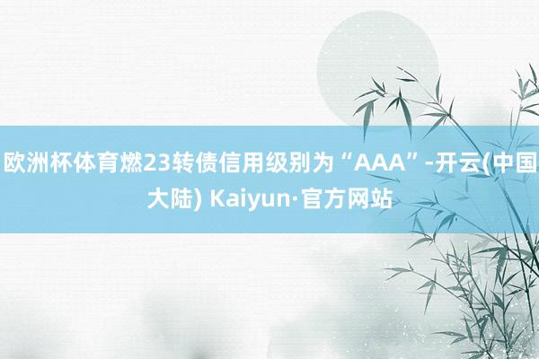 欧洲杯体育燃23转债信用级别为“AAA”-开云(中国大陆) Kaiyun·官方网站