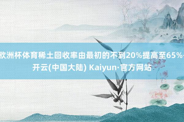 欧洲杯体育稀土回收率由最初的不到20%提高至65%-开云(中国大陆) Kaiyun·官方网站