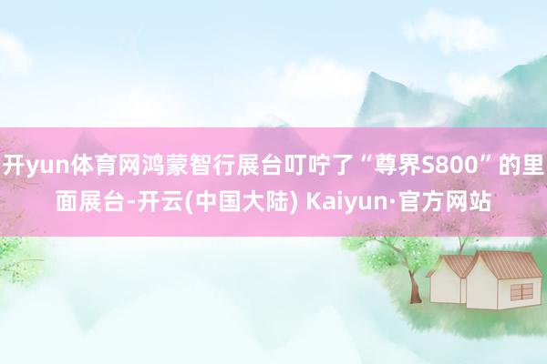 开yun体育网鸿蒙智行展台叮咛了“尊界S800”的里面展台-开云(中国大陆) Kaiyun·官方网站
